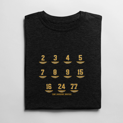 Boston Bruins retired numbers t shirt