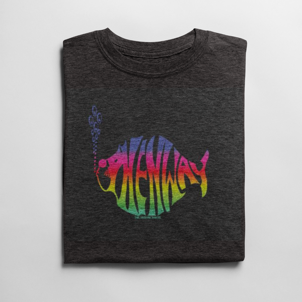 phish phenway shirt