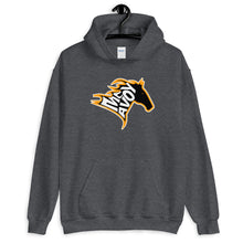 Boston Bruins Charlie McAvoy Black Stallion Horse Hooded Sweatshirt
