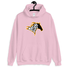 Boston Bruins Charlie McAvoy Black Stallion Horse Hooded Sweatshirt