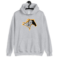 Boston Bruins Charlie McAvoy Black Stallion Horse Hooded Sweatshirt